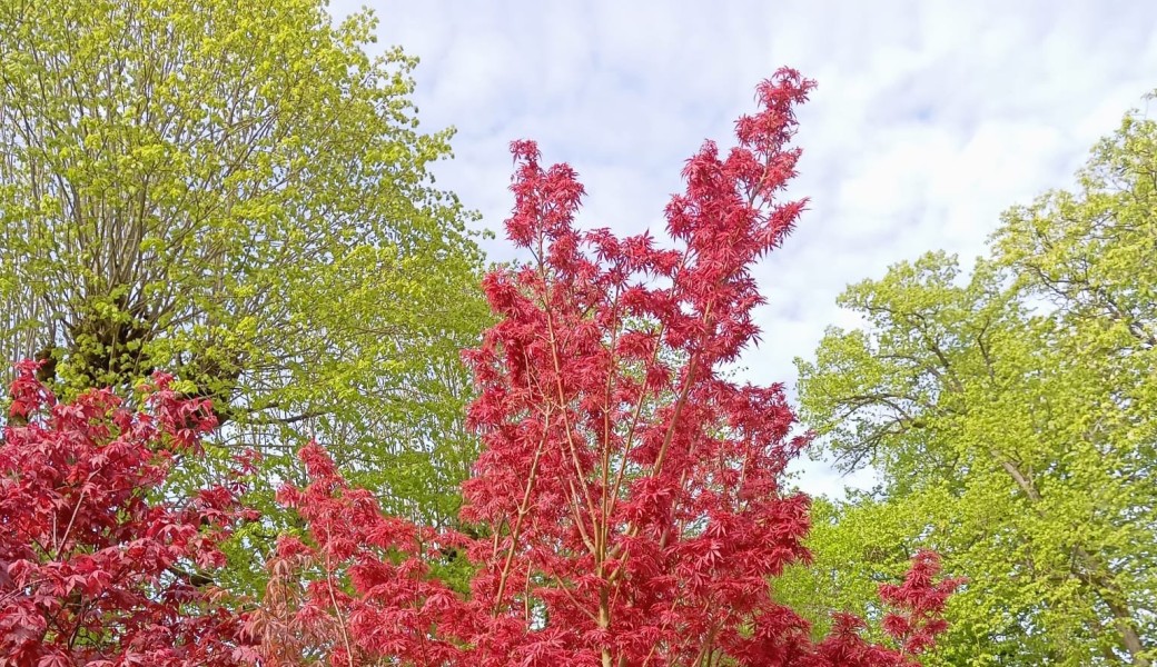 Promenade : Saint-Germain des Prés / le Bon Marché, lieux insolites