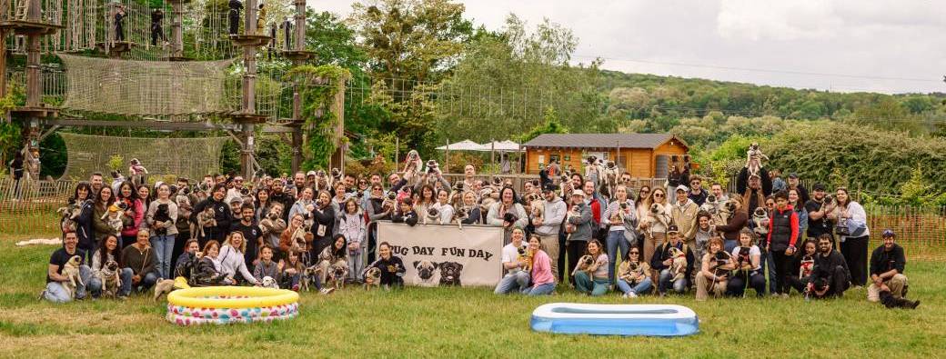 Pug Day Fun Day #2