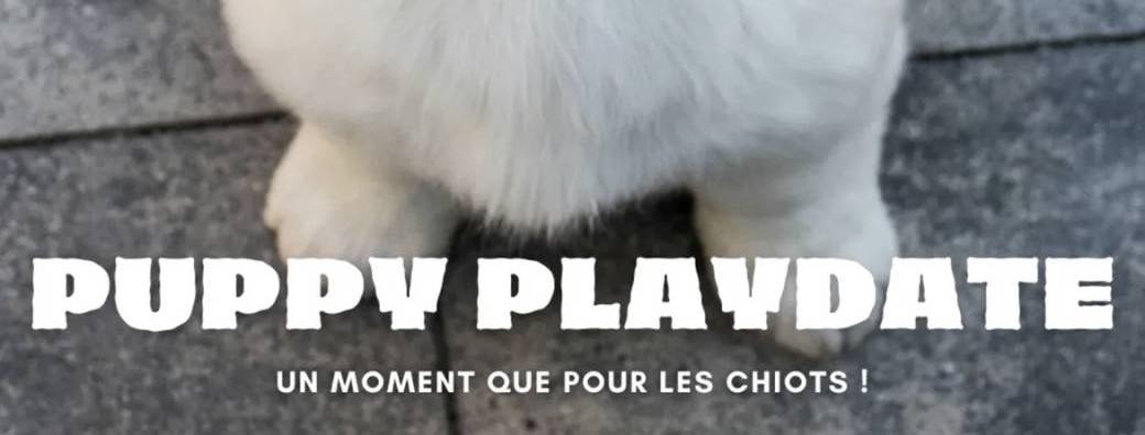 PUPPY PLAYDATE