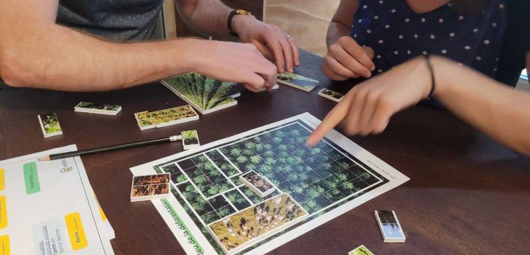 Puzzle Déforestation à Bordeaux