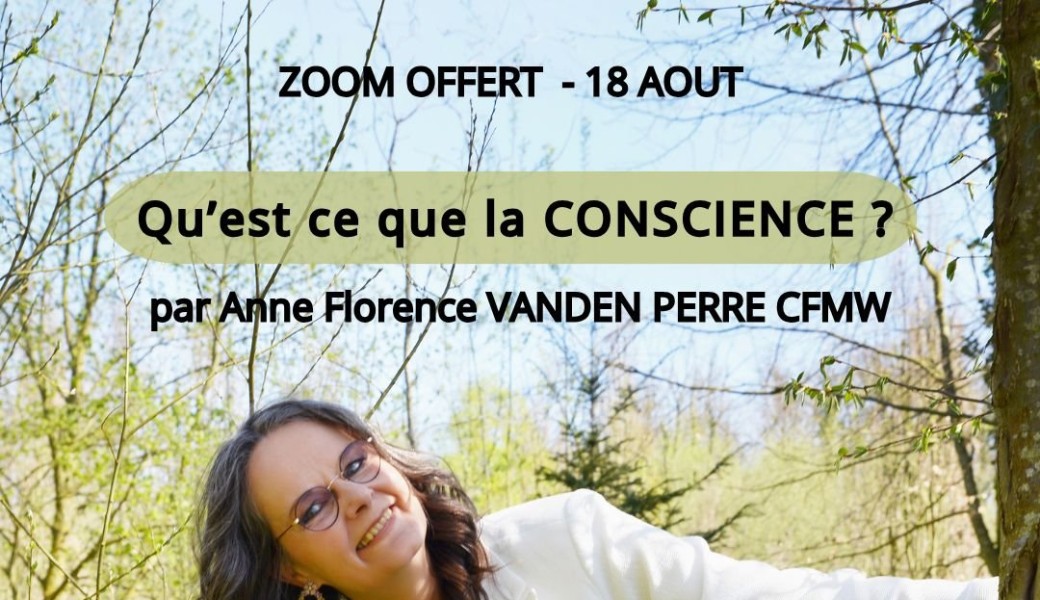 Qu'est ce que la Conscience?