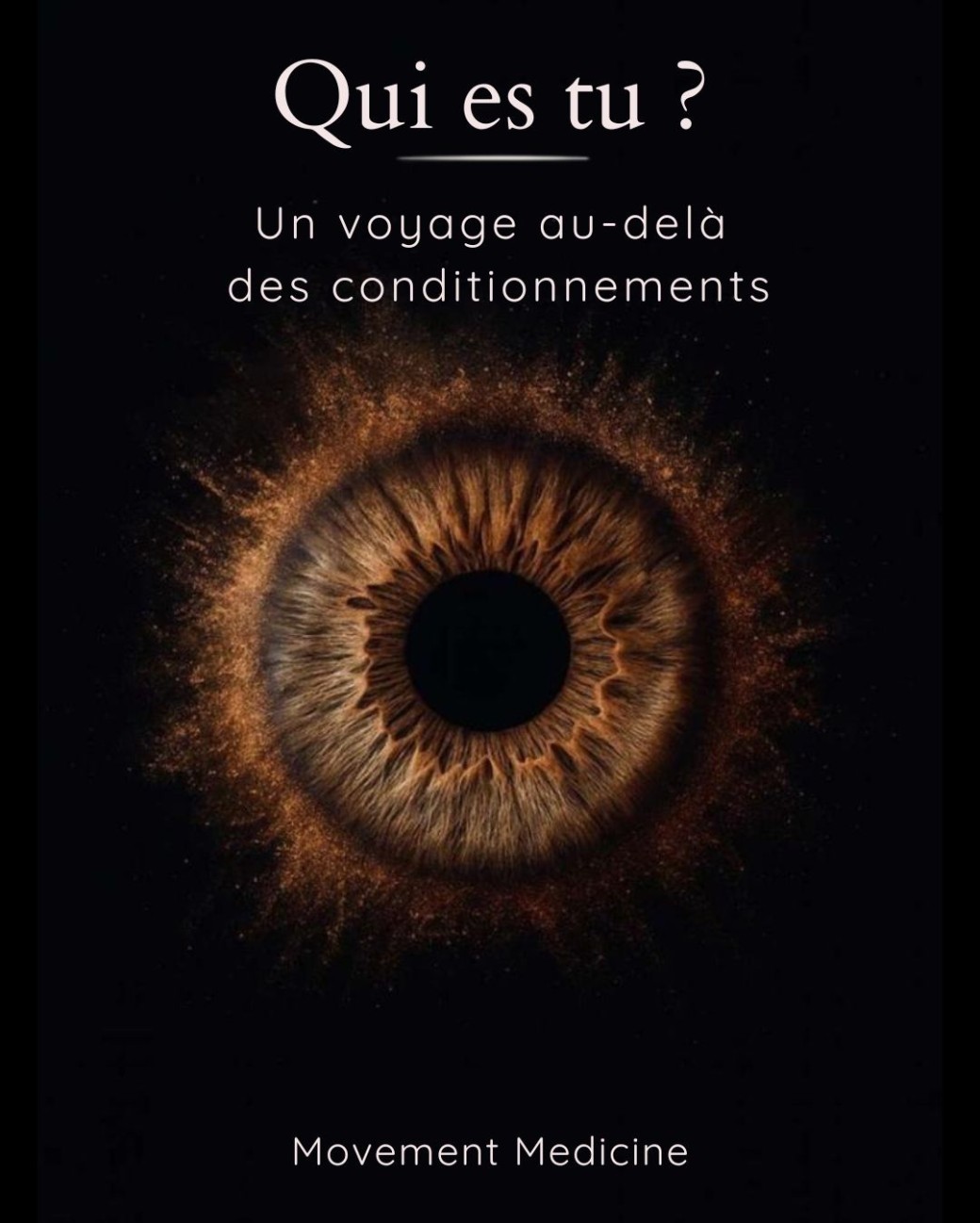 Qui es-tu? un voyage au delà des conditionnements