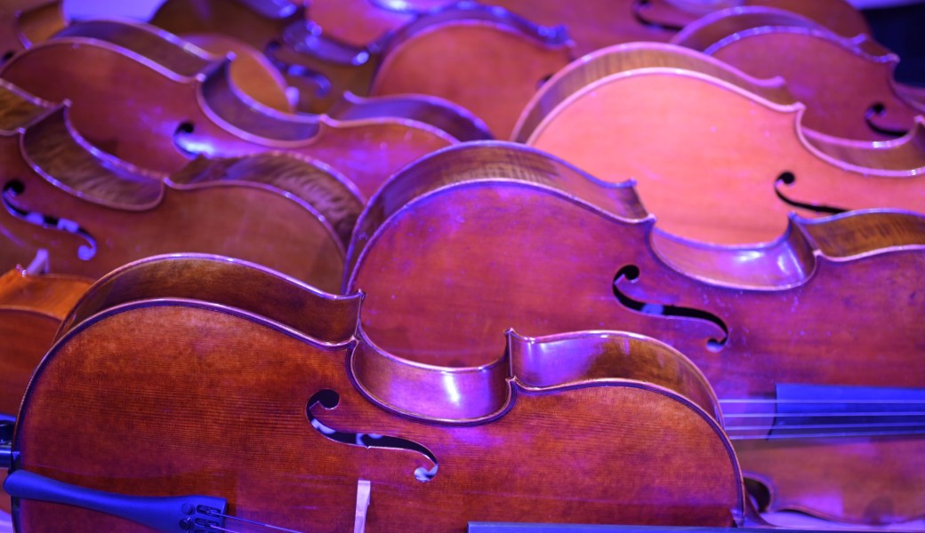 Qui s'y frotte s'y pique