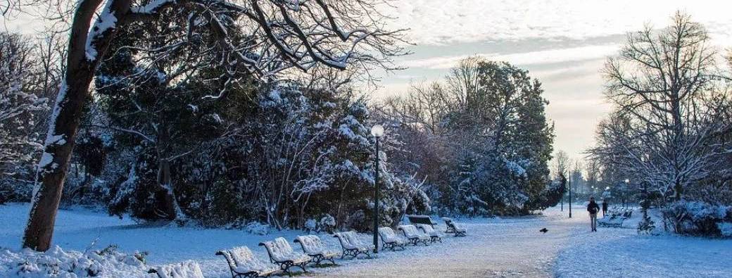Rallye d'hiver 2024-2025
