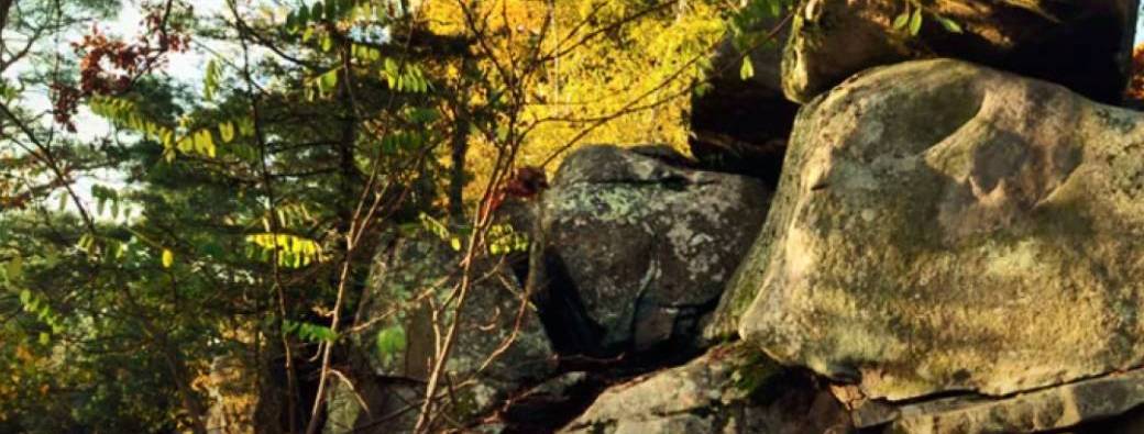 RANDO - FONTAINEBLEAU