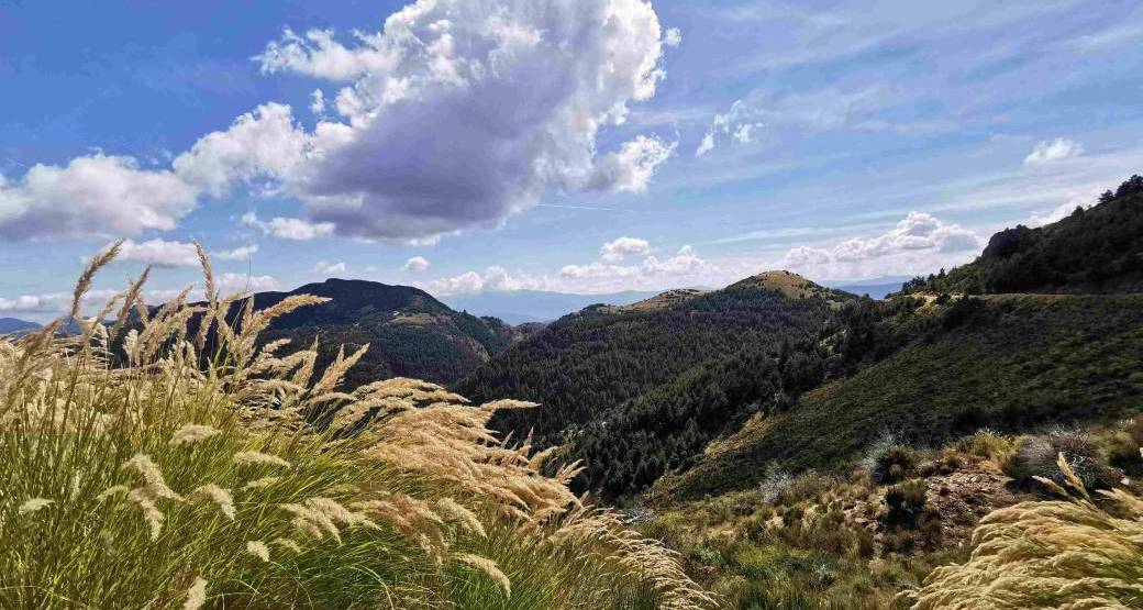 Rando aux hameaux de Sauze et oiseaux de montagne - Clubrando06 (Alix)