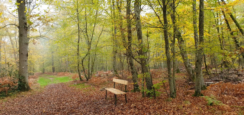 Rando les dernières couleurs de l'automne