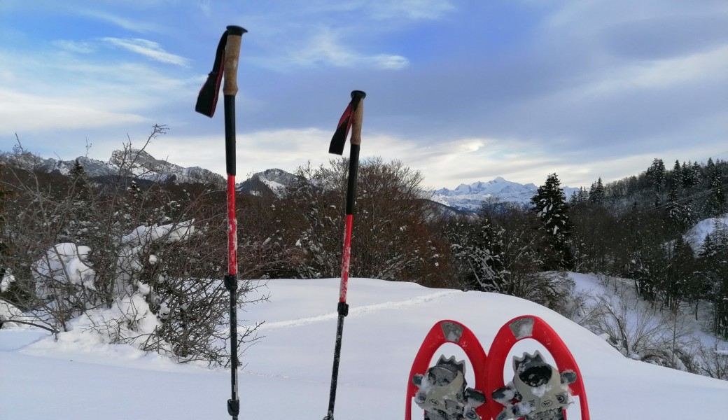 Rando raquettes Plaine Joux