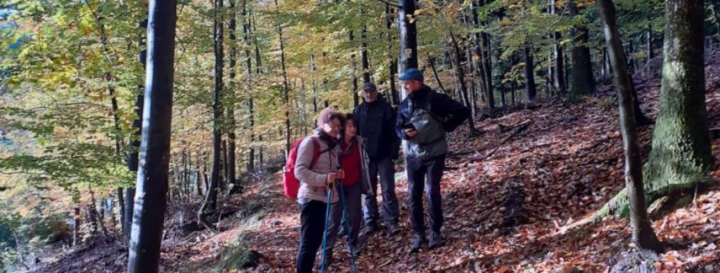 Randonnée accompagnée avec Denise - Wangenbourg