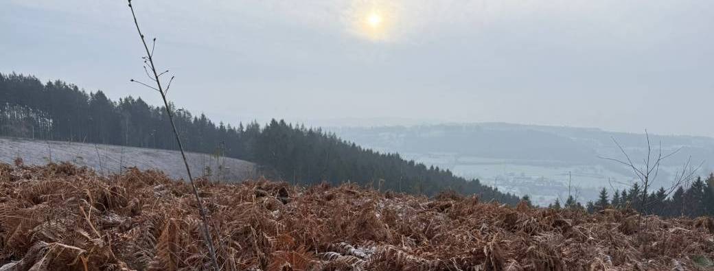 Randonnée: Amblève-toi et Warche!