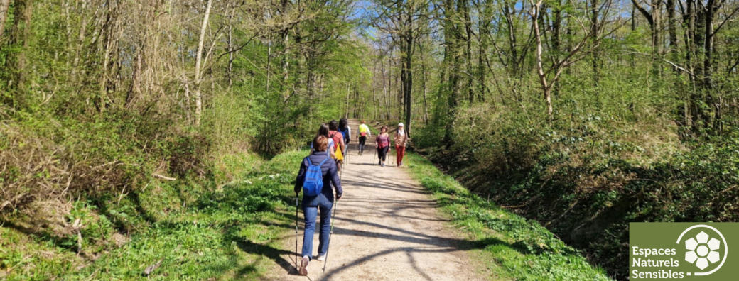 Randonnée autours des arbres