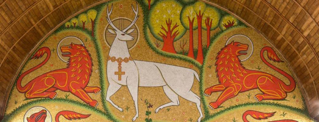 Randonnée à la journée : Sur les traces du Cerf Blanc