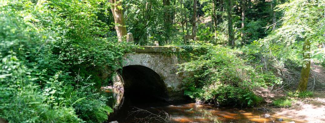 Randonnée de Quimperlé vers Saint Maurice - Semaine des randonnées 2025