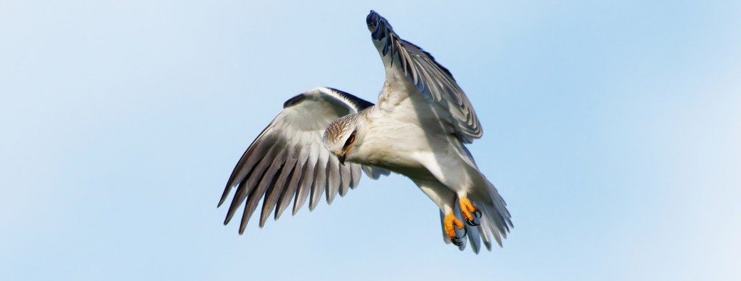 Randonnée découverte sur le circuit naturaliste