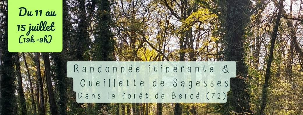 Randonnée et Cueillette de Sagesses