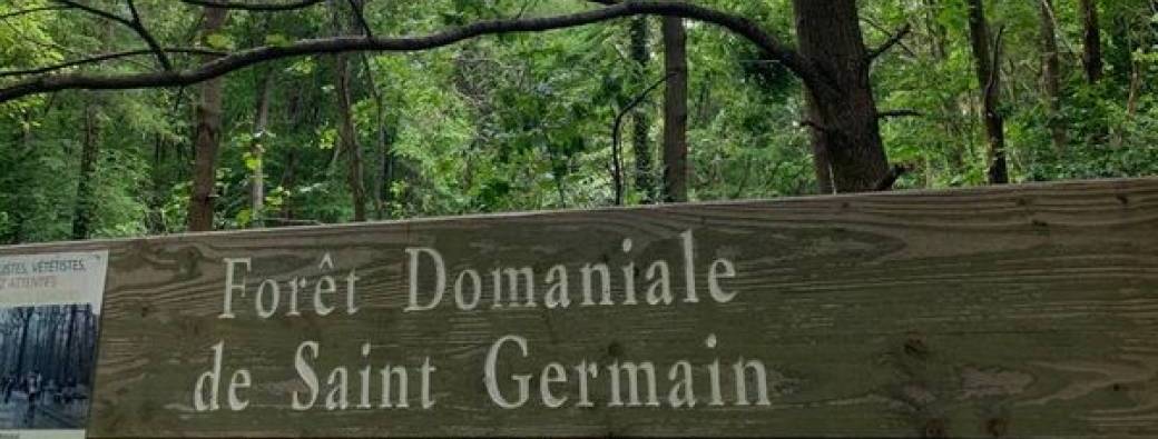 Randonnée forêt de Saint Germain en Laye