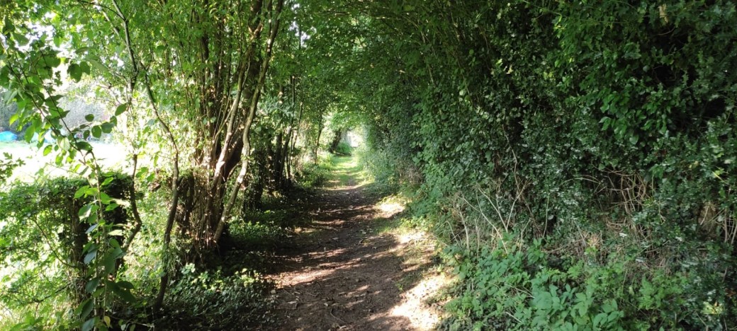 Randonnée forêt Hesdin