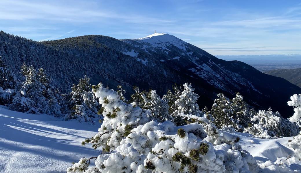 Randonnée Hivernale au Mont Ventoux