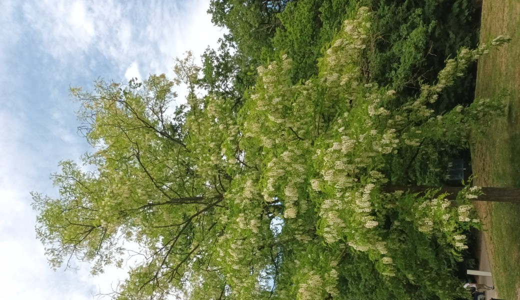Randonnée la Vallée de Gally 
