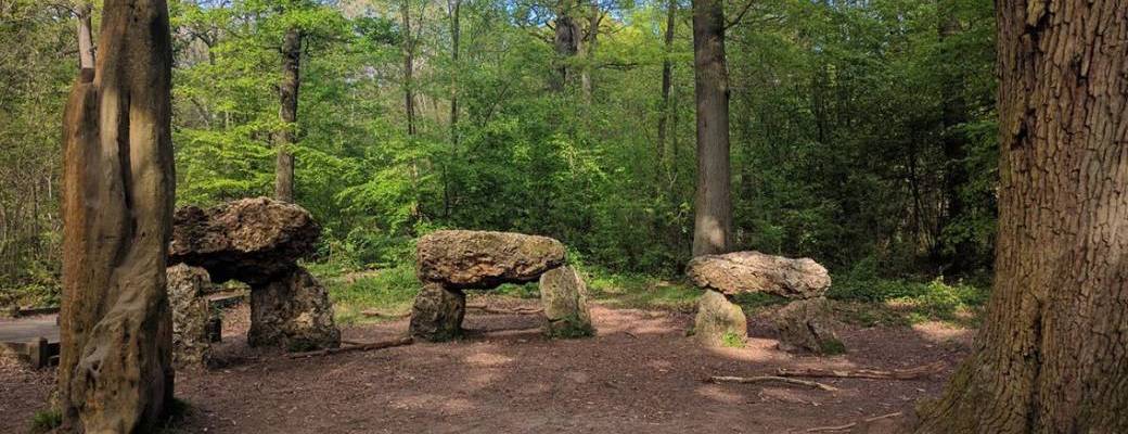 Randonnée "les 3 étangs" forêt de Meudon