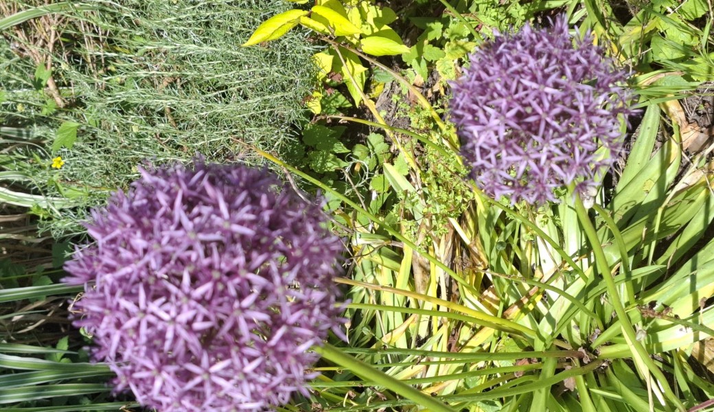 Randonnée : les monuments des "Napoléons" (NEW)