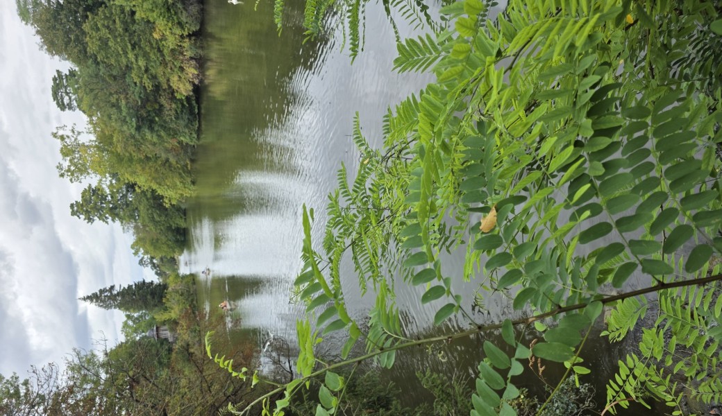 Randonnée nature : "De Conflans à Cergy, les bords de l'Oise" (NEW)
