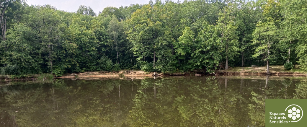 Randonnée nature: des arbres et de l'eau