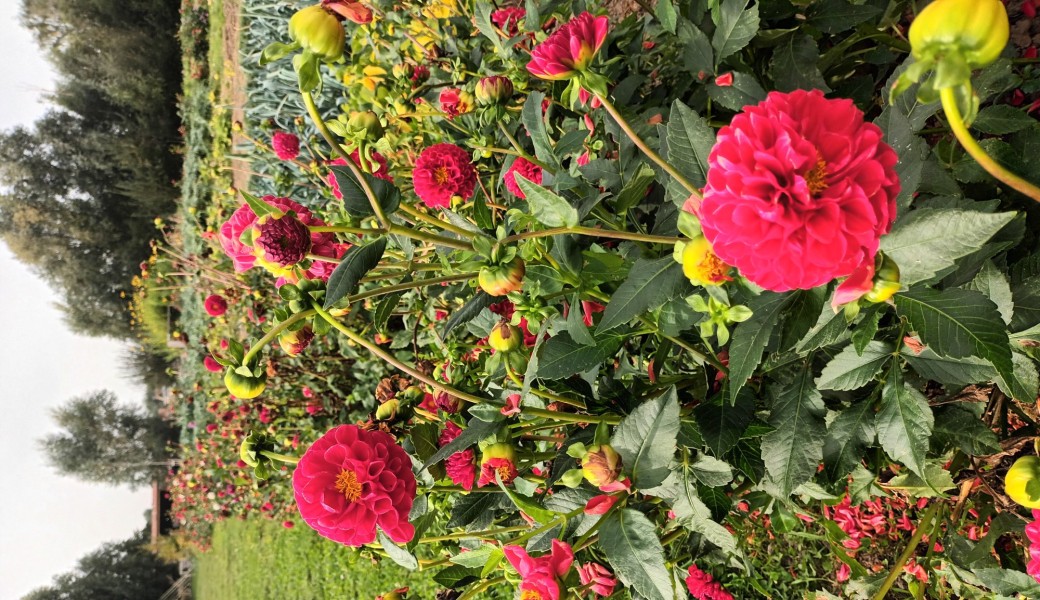 Randonnée nature : Le Tour du Parc de Bagatelle