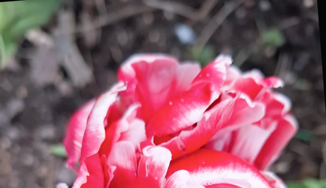 Randonnée : Neuilly / la Défense/ Nanterre (NEW)