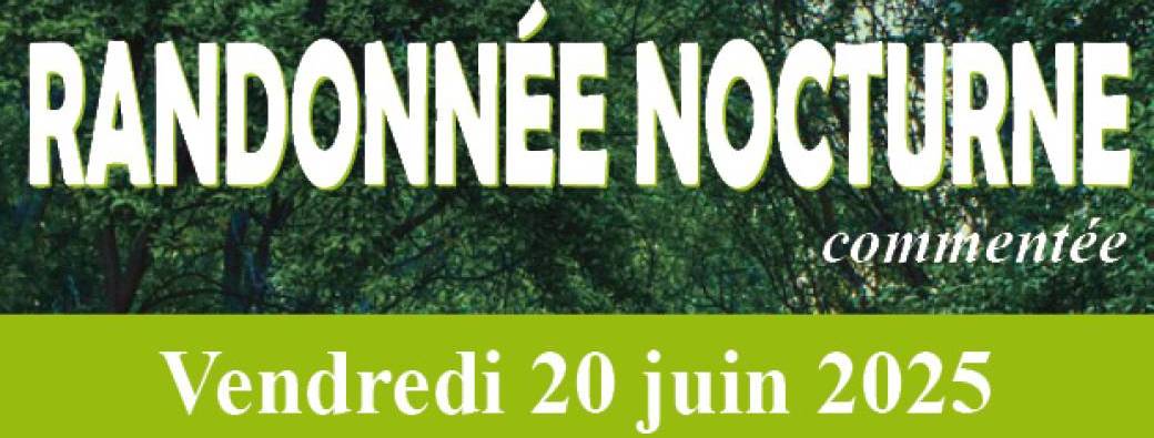 Randonnée nocturne à Hénu