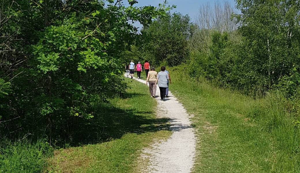 Randonnée pédestre + 50 ans