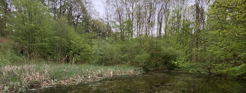 Randonnée Rhode Saint Genèse