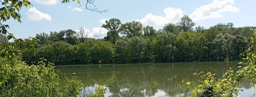 Randonnée singulière et poétique au bord du Rhône