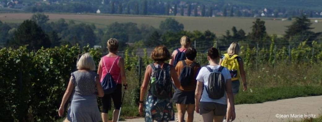 Randonnées accompagnées dans les vignes