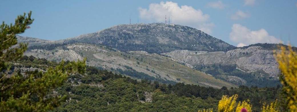 Randosportive : Le Lachens