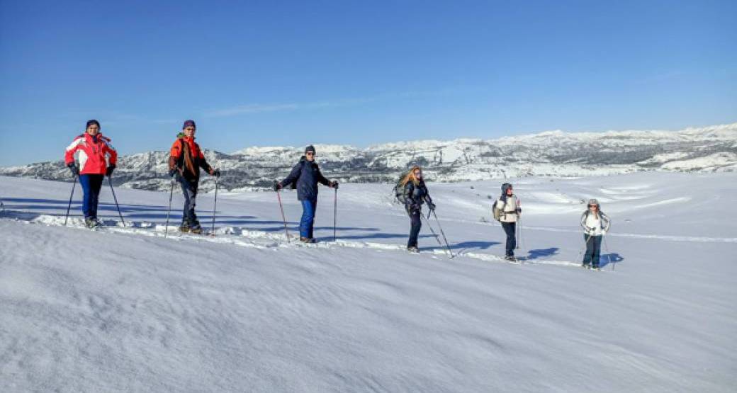 Raquettes gréolière