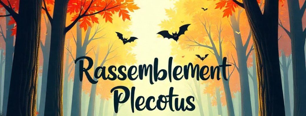 Rassemblement Plecotus