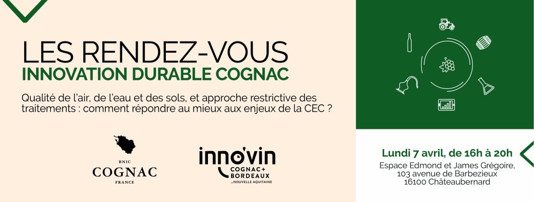 RDV Innovation Durable Cognac
