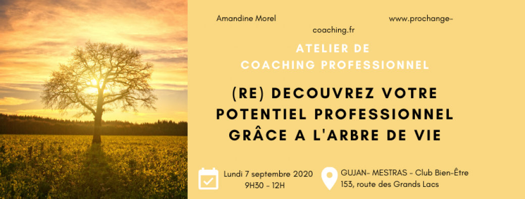 (Re) découvrez votre potentiel professionnel grâce à l'arbre de vie