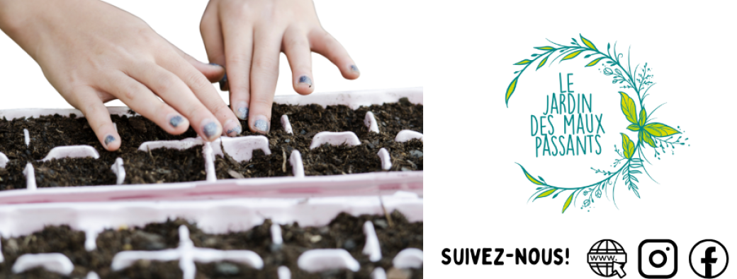 Réaliser vos semis