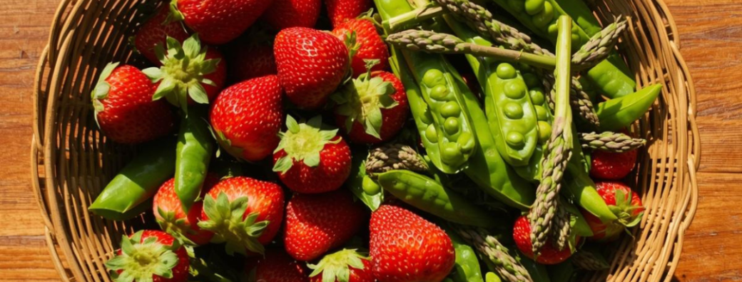 Recettes printanières de retour de marché