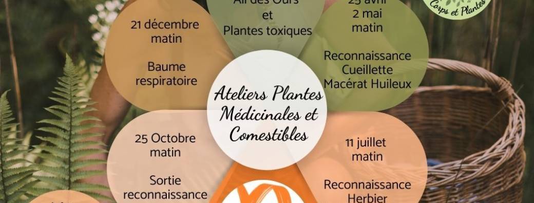 Reconnaissance médicinales comestibles et toxiques, herbier