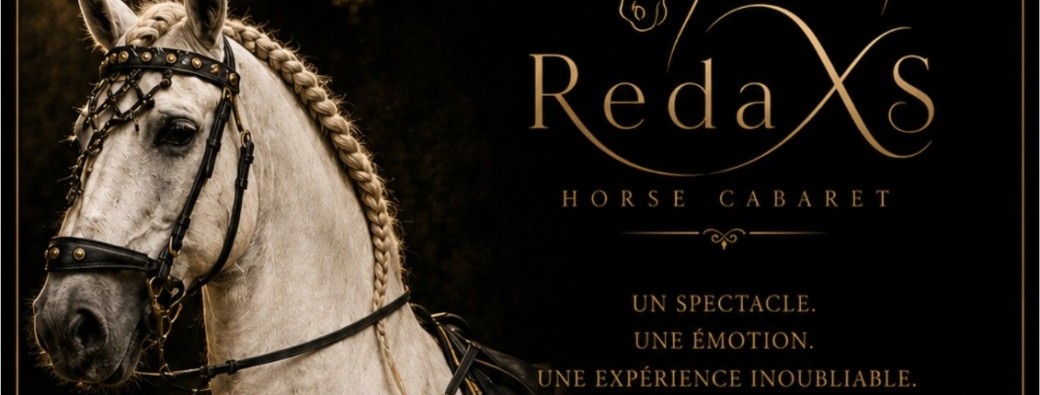 Reda XS horse cabaret
