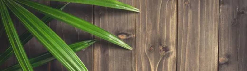 Registration process on the bcgame platform Registration process on the bcgame platform