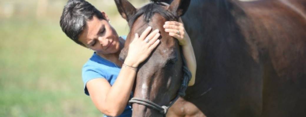 Stage de Reiki Animal Toulouse