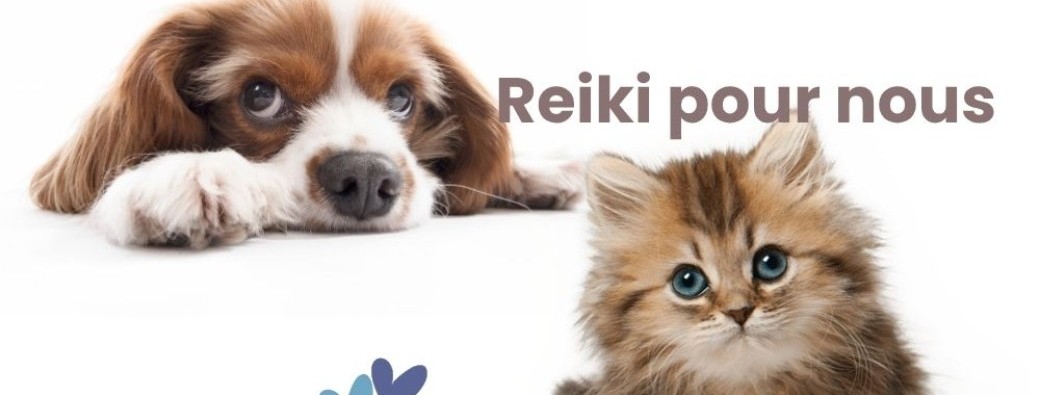 Reiki Chiens et chats