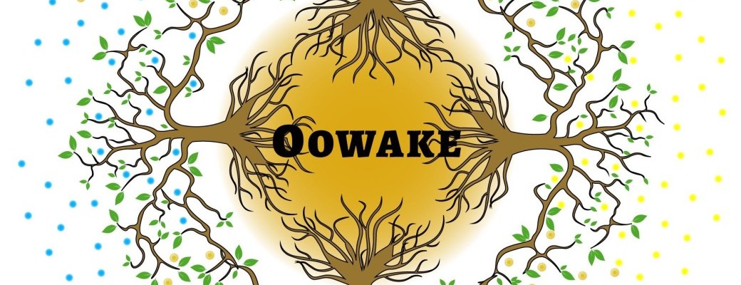 Reiki niveau 1 janvier 2023
