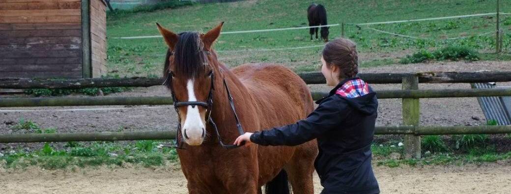 Relation humain-cheval : seulement pour le meilleur !