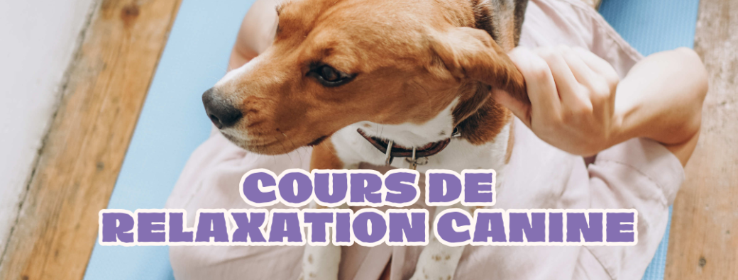 Relax With Your Dog