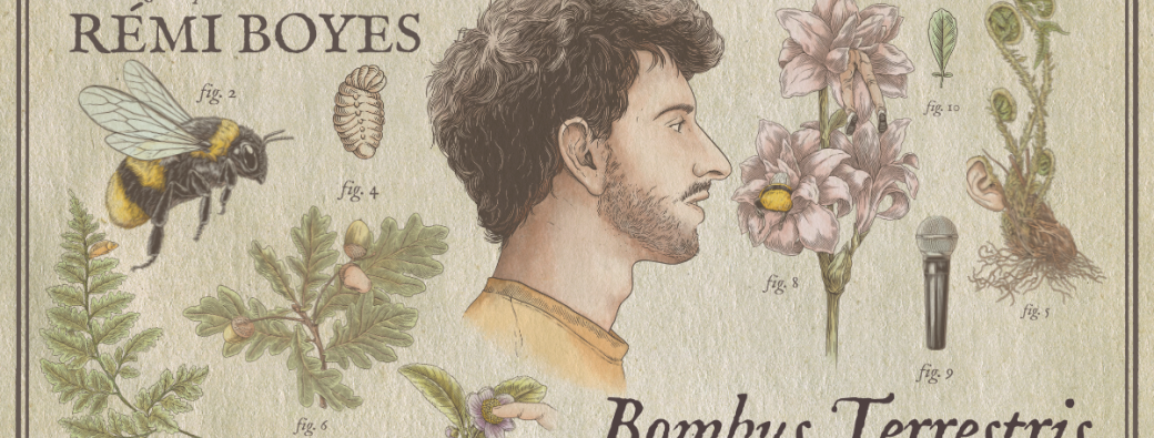 Rémi Boyes - Bombus Terrestris